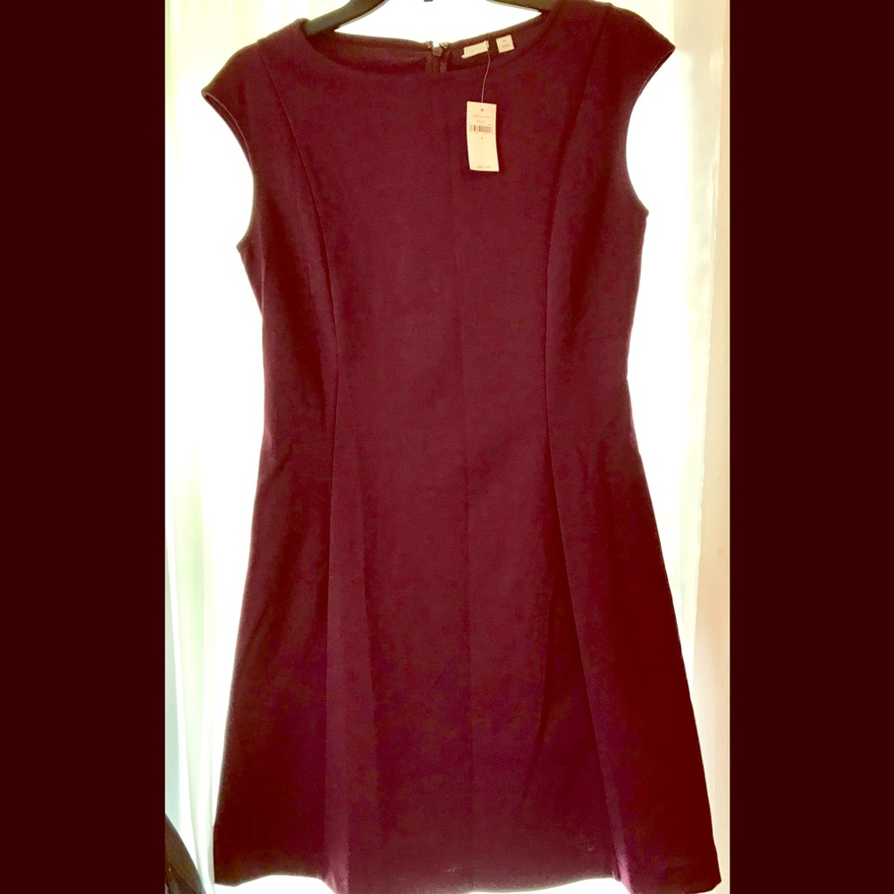 Gap skater style dress with cap sleeves
